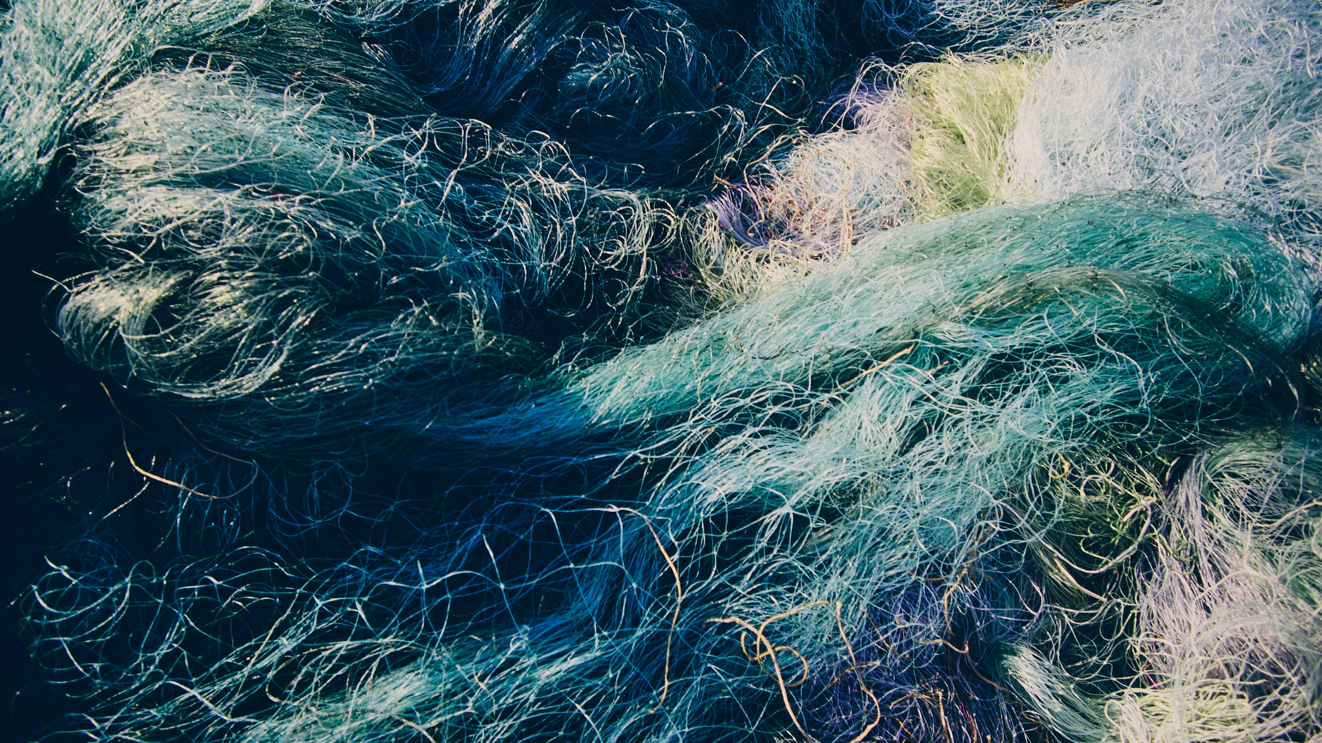 ‘แฟชันรีไซเคิล’ ตอบโจทย์ด้วยนวัตกรรมเปลี่ยนขยะทะเล สู่เส้นใยไนลอนรีไซเคิล